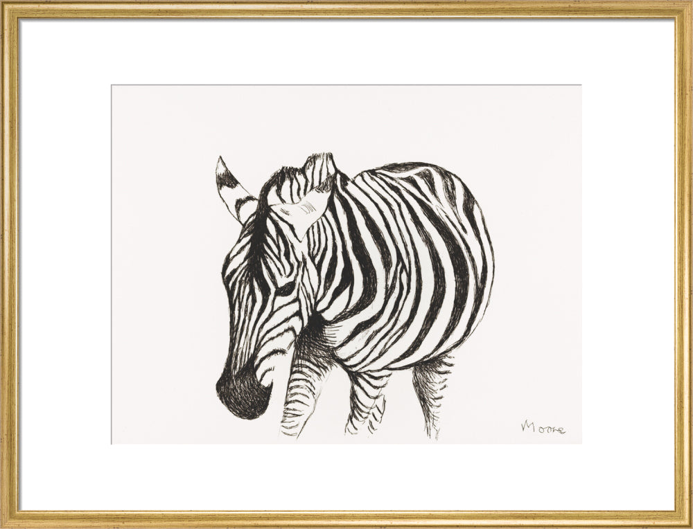 Zebra