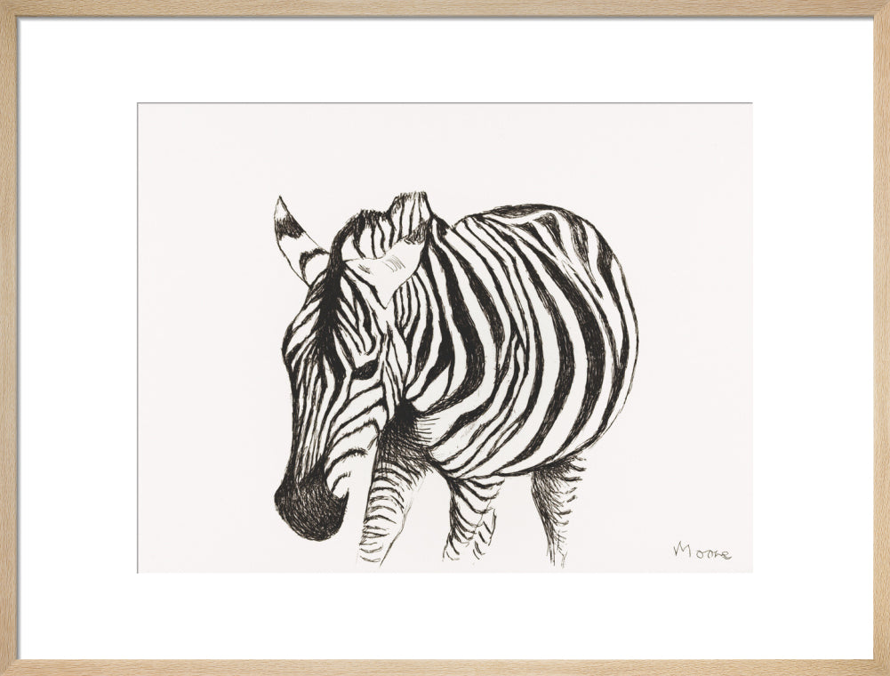 Zebra