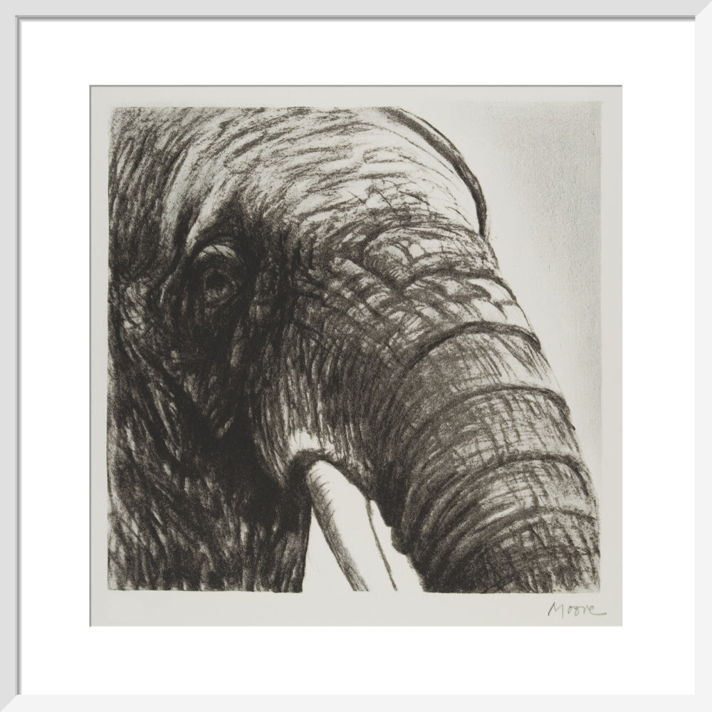Elephant's Head II