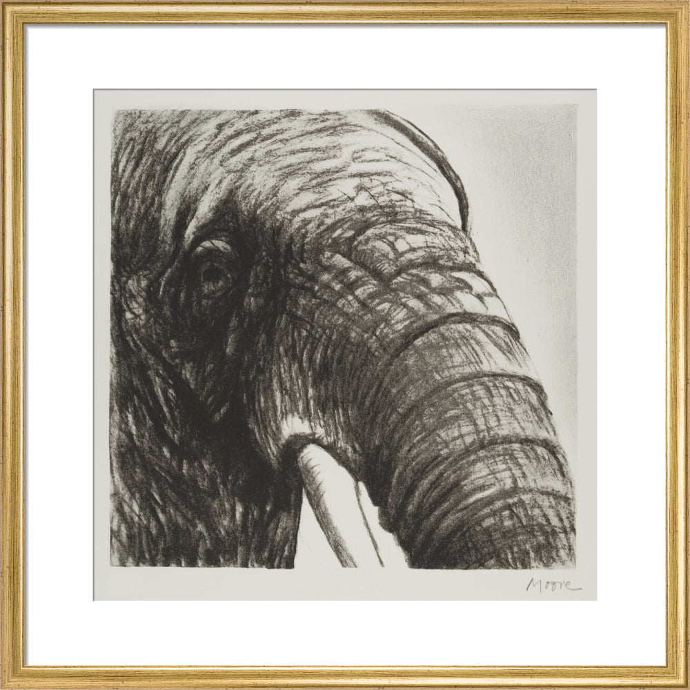 Elephant's Head II